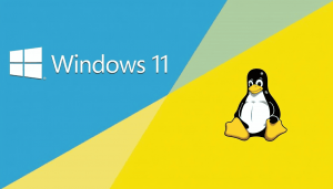 Linux als Zweitsystem auf dem Windows-PC – Einfache Methoden und Anleitungen